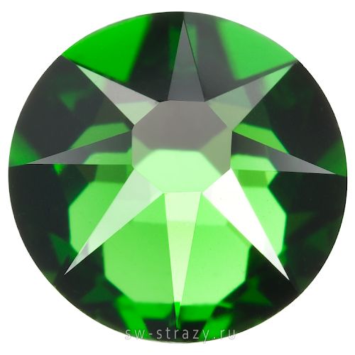 2088 ss 16 Fern Green F
